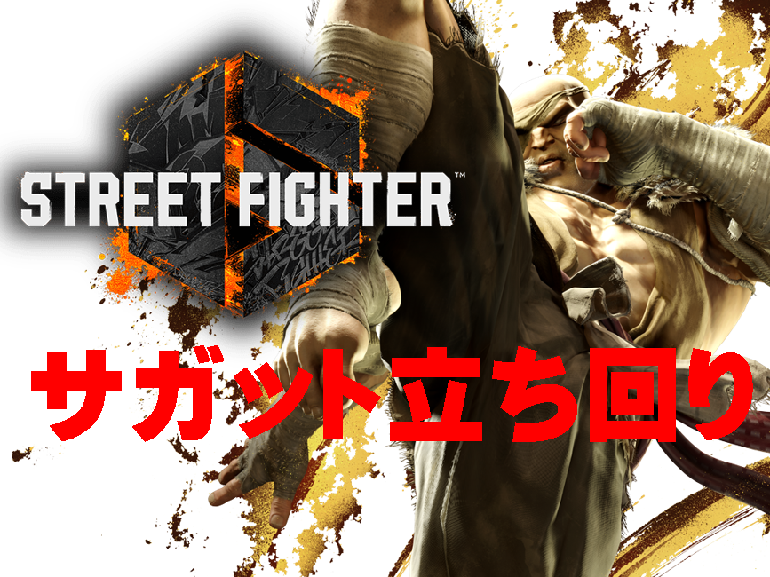 【モダン】サガットの立ち回り